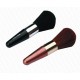 Brush