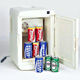 Car Refrigerators