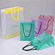 Plastic Hand Bags