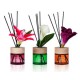 Fragrance Reed Diffuser